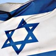 I love the IDF