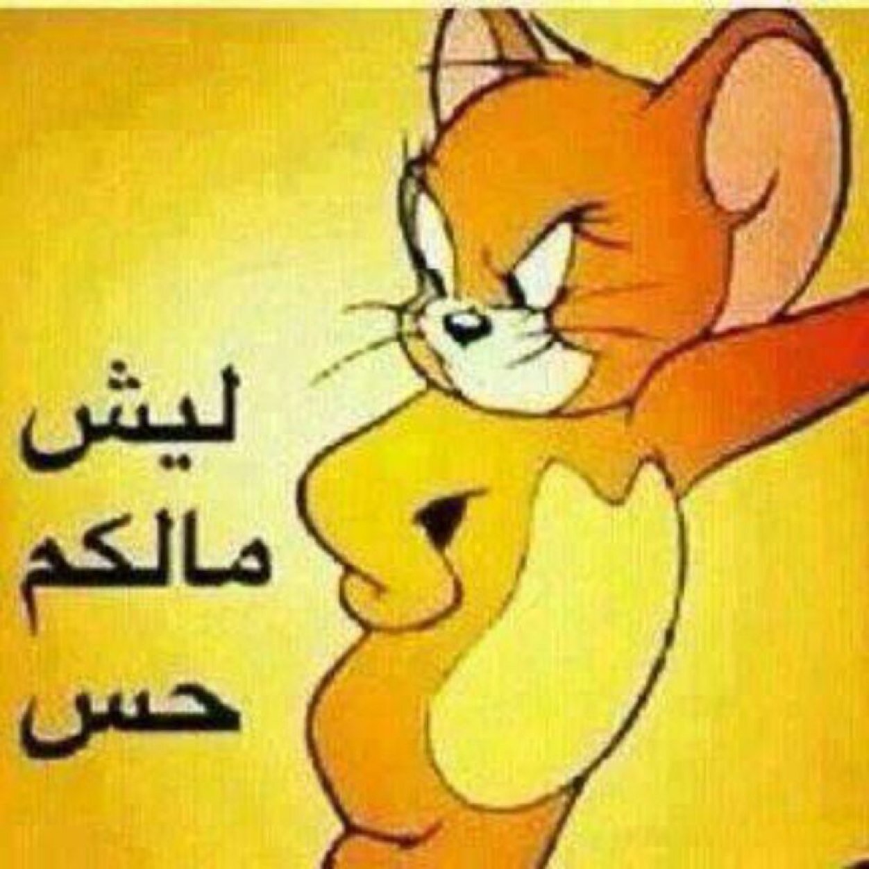 ليش مالكم حس
