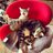 cutecatsyyc's profile image