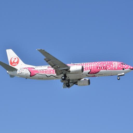 kuribo01951250's profile picture. 50代突入した売れ残った男です。月１で成田、羽田に📷
ミリタリー系から民航にシフト中