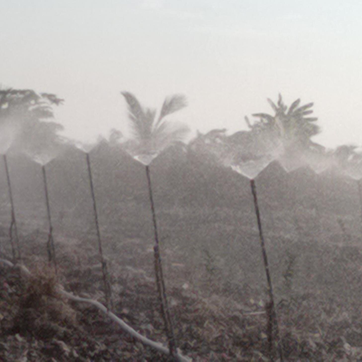 bec_voi_phun's profile picture. Béc tự chế