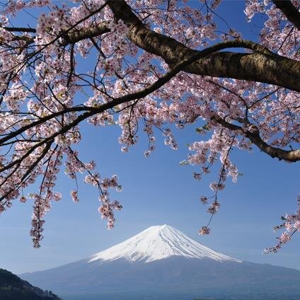 写真撮影が好きです。  主に富士山や自然の風景、花の写真を撮っています。  登山が好きですが、今はほとんど登っていません。けれど今でも山は大好きです。読書も好きで、時々感想を載せています。アダルト系はお断りいたします。  カメラは主にNikonD800 NikonD7500  山梨県