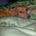 Tammy Denning - @denning_tammy - Twitter