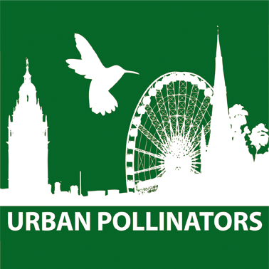 Urban Pollinators develops and shares the ideas that create better towns and cities. We do that through writing, research, advice and communications.