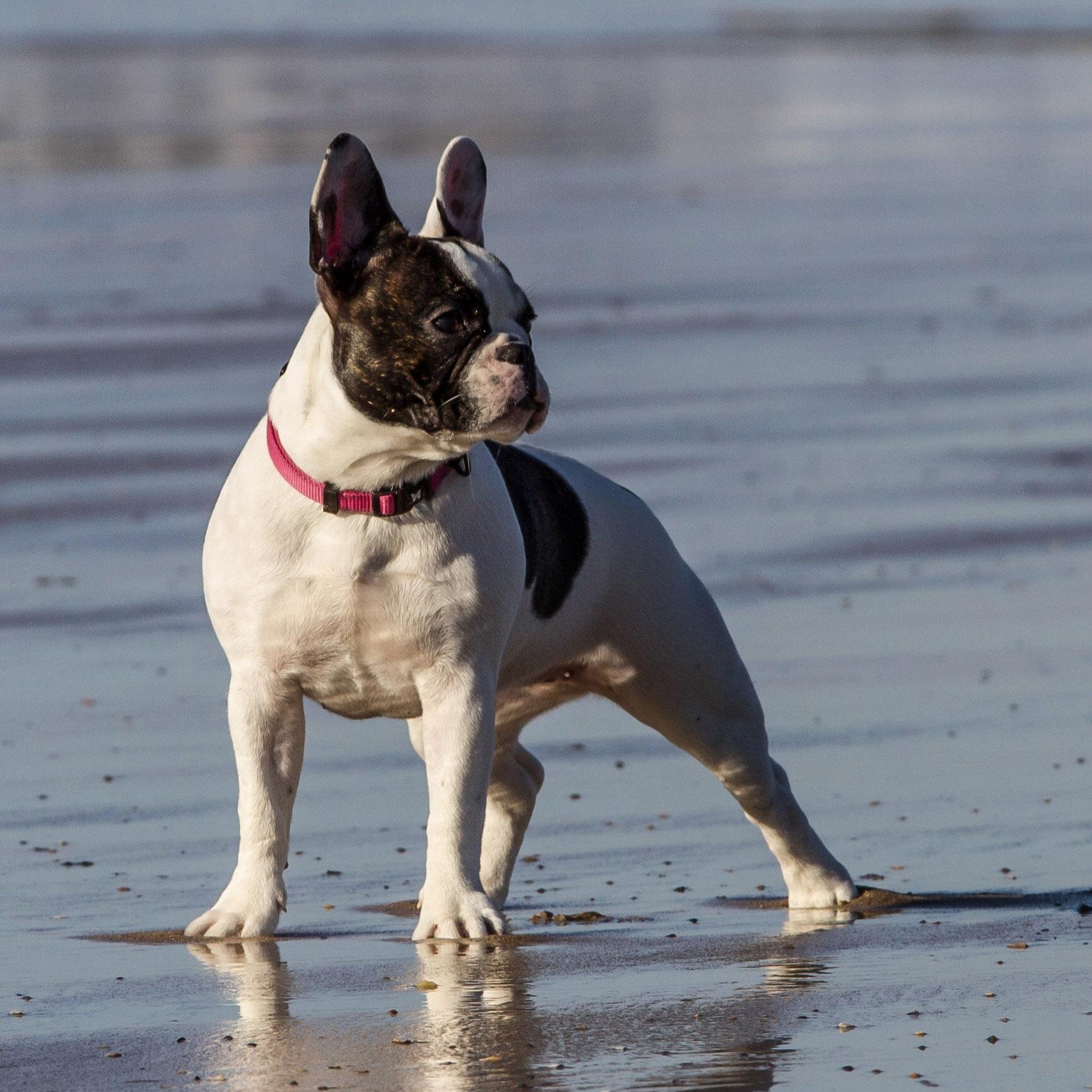 dlphotosport's profile picture. pagina de fotografia deportiva - sports photographer freelance