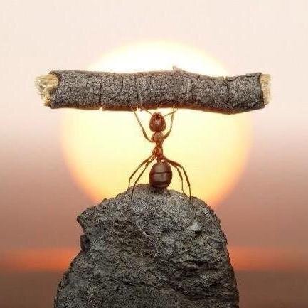 cocuklife's profile picture. Çocuklar ve ebeveynler hakkında herşey