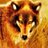 Thelocalplayer's profile image