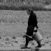 Agri_CULT periurbana (@agri_cultperiur) Twitter profile photo
