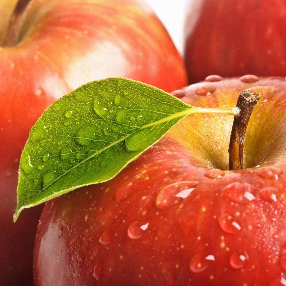 sadietitian's profile picture. 