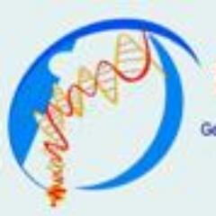 bioavan's profile picture. Generando soluciones imaginativas