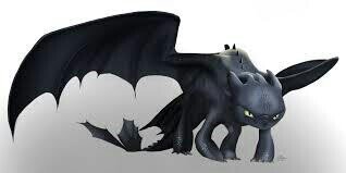 Lobaagresiva's profile picture. Im a Night Fury. Curious by nature, Agressive, Untameable, Faster than Light, Deathly, and, If you reach to know me, Loyal and  Good friend...