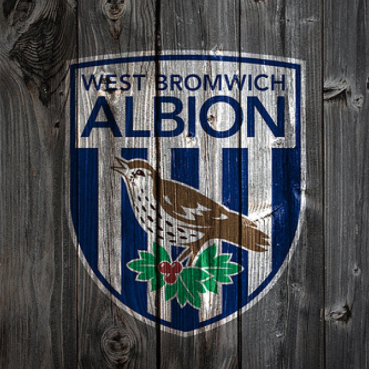 westbromjoey's profile picture. 👍🏻