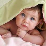 niteshbavishiya's profile picture. IT & Web developer