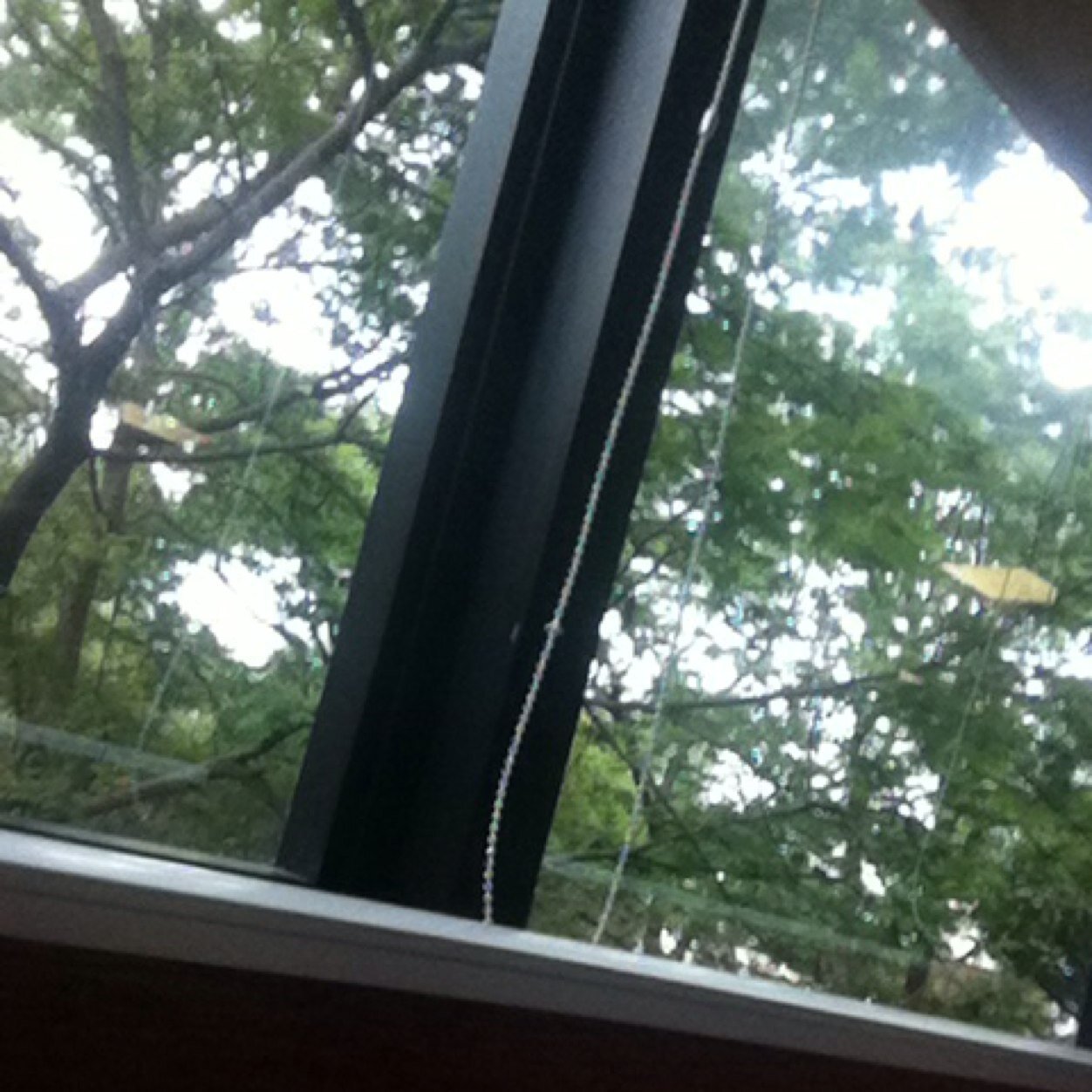 iam4modipm's profile picture. 