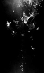 ofcasiss's profile picture. 金･音楽･煙草･酒･服･化粧品等....必須。 ｸｽﾞの毒吐きが中心の為、嫌な人はﾌﾞﾛｯｸで。