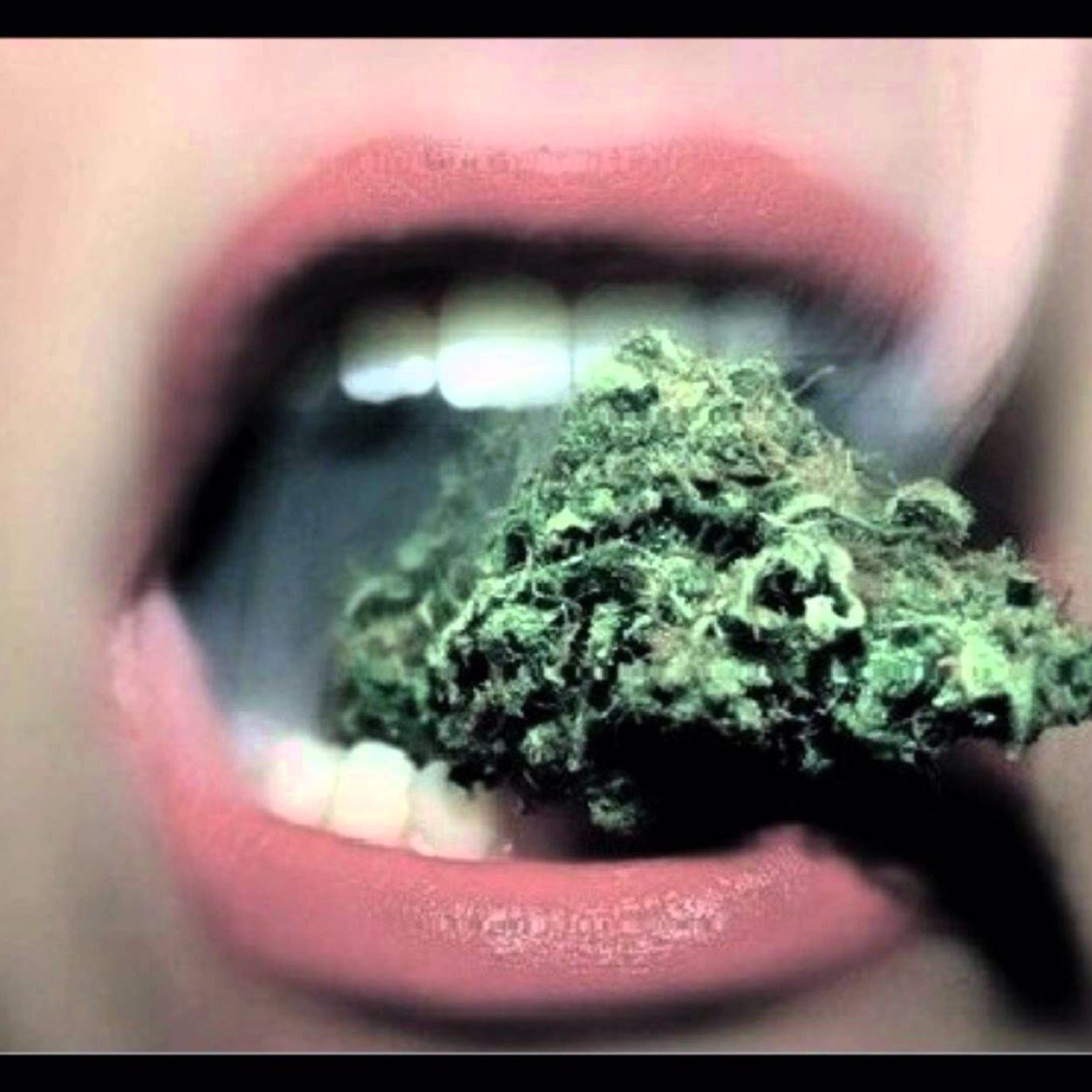 Fumo porros por diversion. #420
Santa Sativa