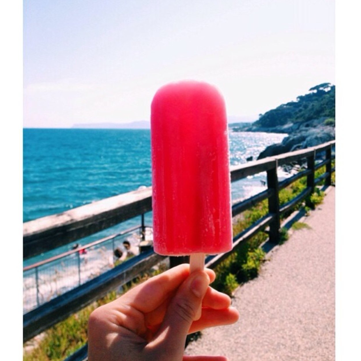 Summer is the best☺️