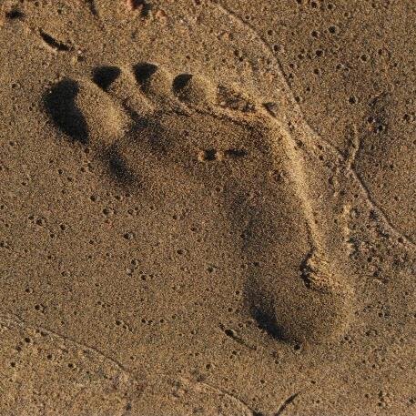 ACarchaeology's profile picture. Independent archaeological consultants and contractors  providing advice on historic environment issues to developers, local authorities, and national bodies