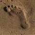 AC archaeology (@acarchaeology) Twitter profile photo