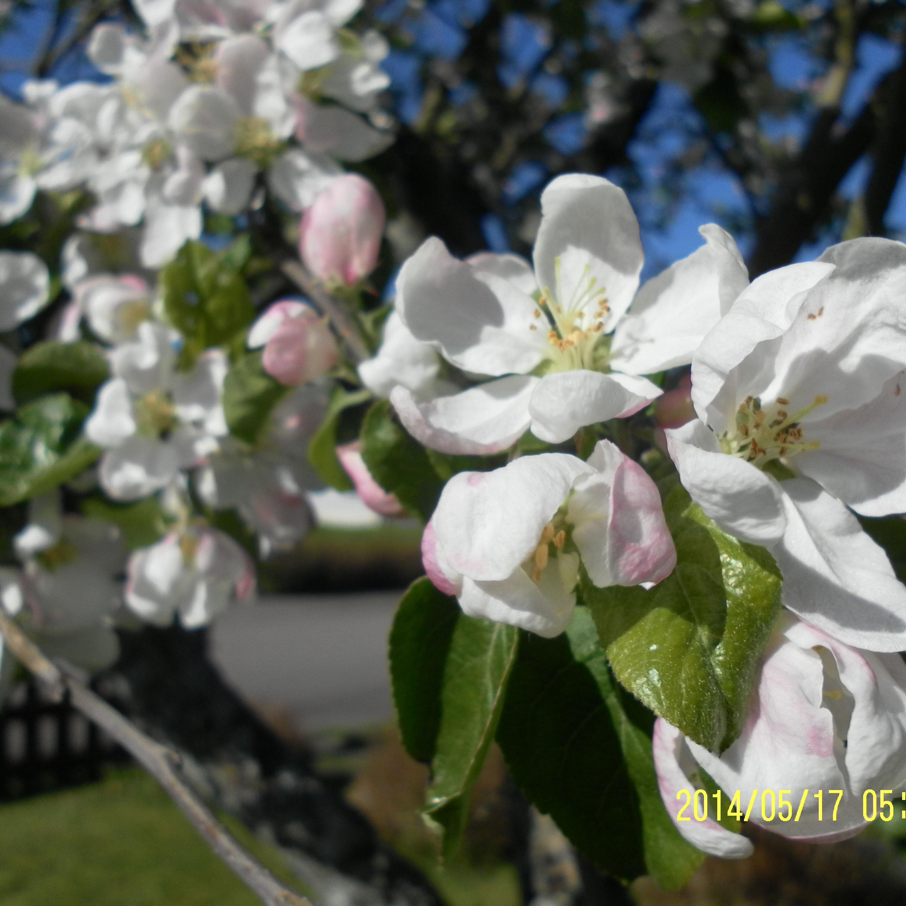 NoomiLind's profile picture. Har arbetat på äldreboende, nu pensionär. Intresserad bl.a av politik, musik. Djurvän. Är en bokmal.