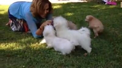 Derosa1998Rosa's profile picture. 