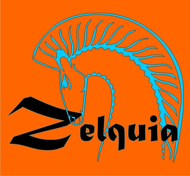 Venta de productos para la Equitación.