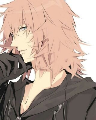 I can't imagine a day goes by without thinking of him... marluxia, who is he... who am I? Are we... the same person? No... Do we have the same heart?