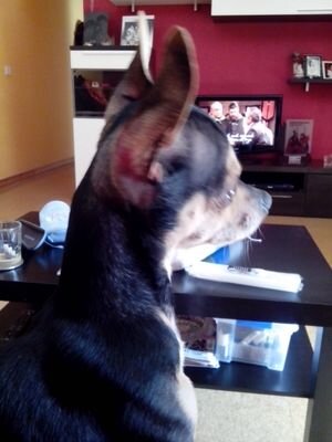 cimial66's profile picture. 