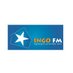 RADIO INGO (@radio_ingo) Twitter profile photo
