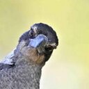 Corey Kirk - @MissMagsRants - Twitter