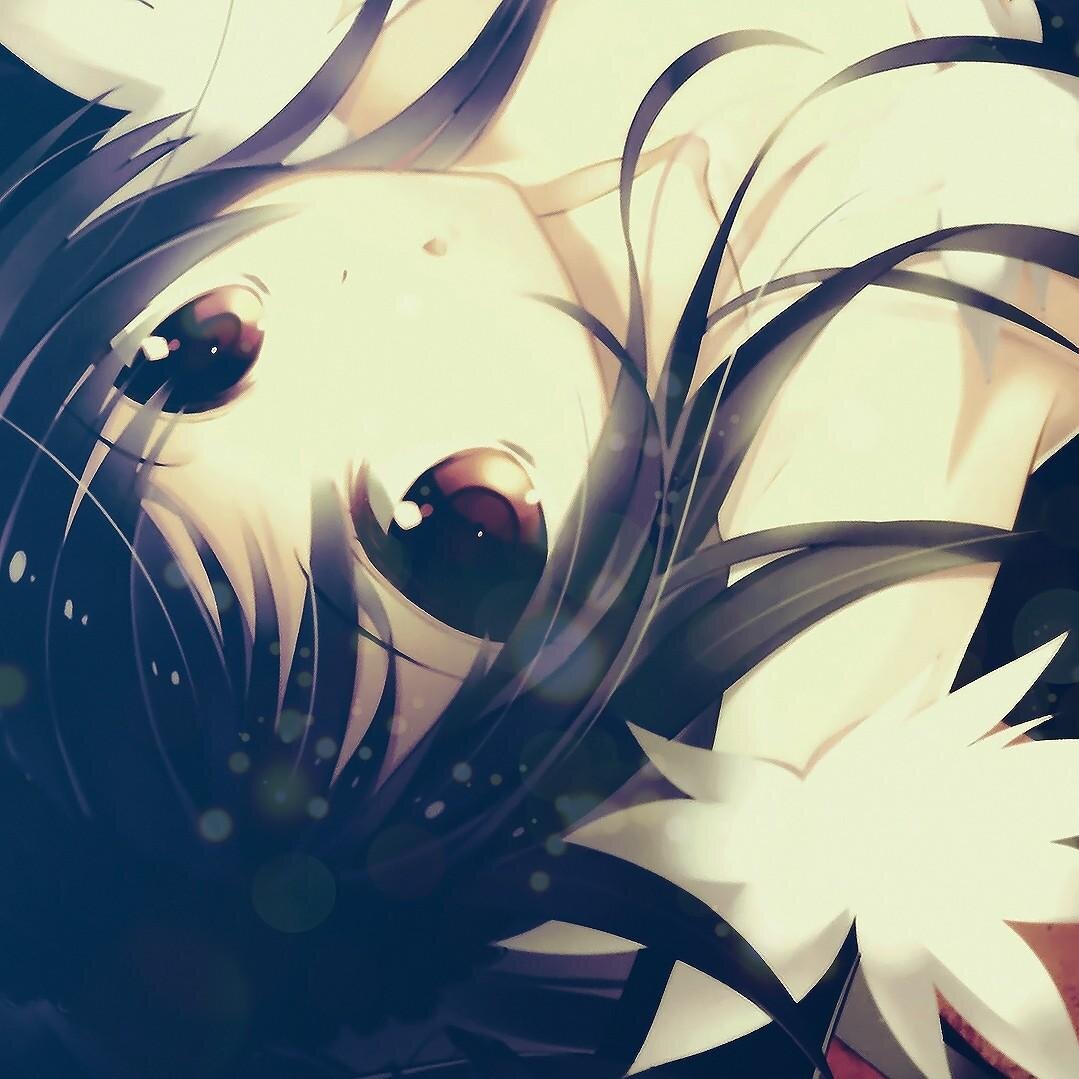 Mention for follback,and yoroshiku ne :3  #sugoifams #OKingdom [IC/OOC]