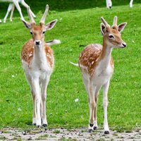 BuytenDelft (@buytendelft) 's Twitter Profile