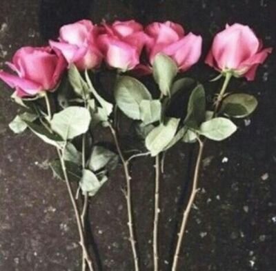 @Ro0faa @fadia768 @wej_da @MR0MTK @Ohood_225 @Bshayer_qi  ♥~