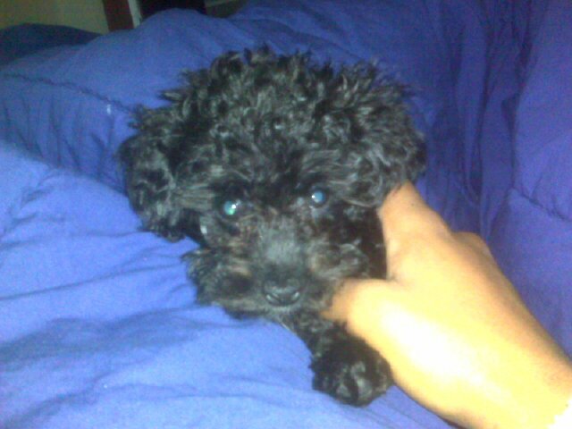 NixReid's profile picture. Style Innovator,Fashion Expert,Women'sMotivational Speaker. All around big sister