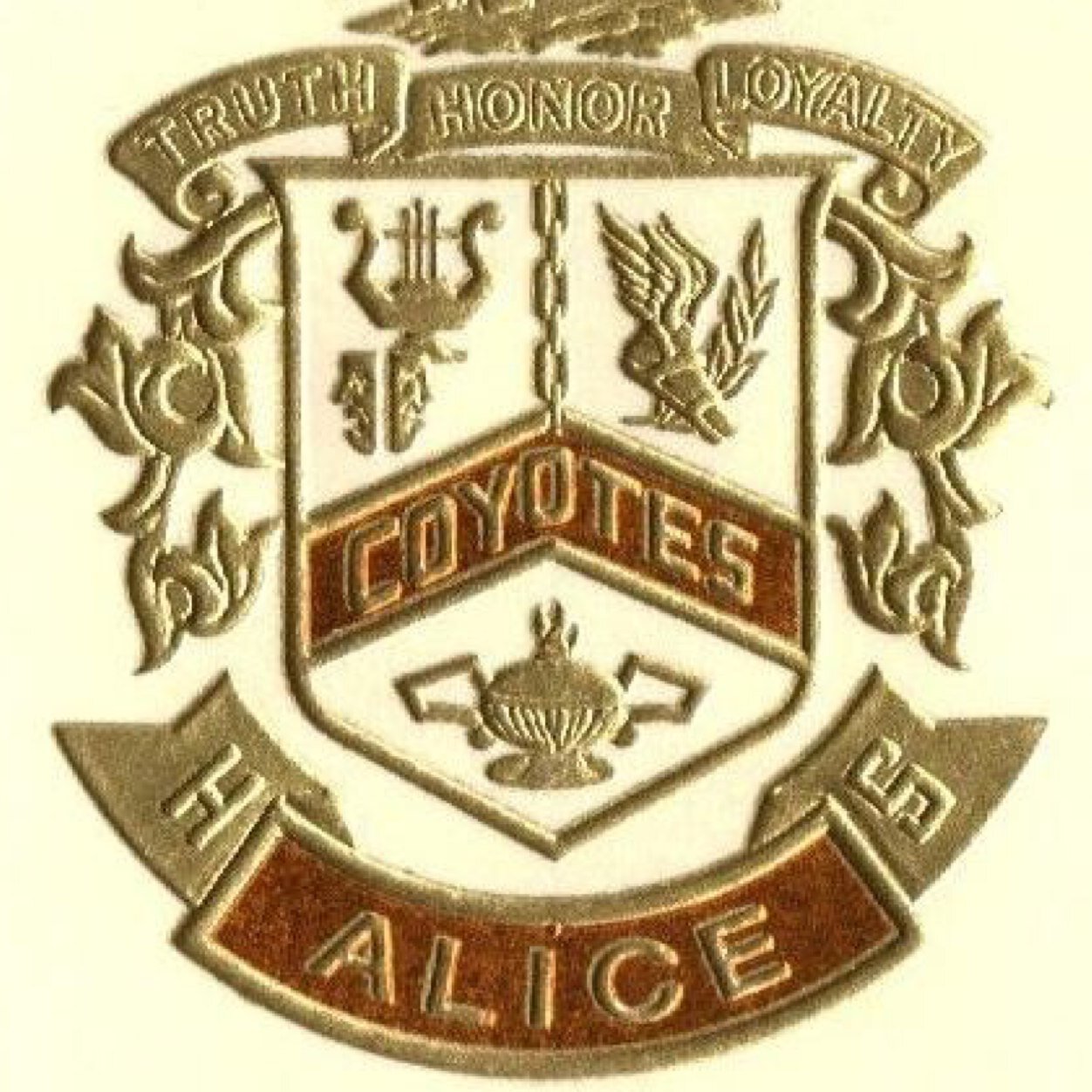 Alice High School