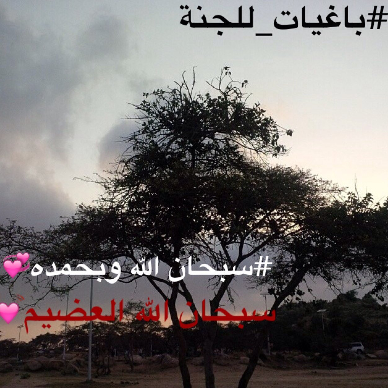سبحان الله وبحمدهه_سبحان الله العضيم❤️.
 حسابنا بالانستقرام @B_Aljanh22