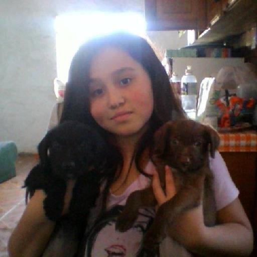 Amo minhas amigas pizza cachorros coelhos amo minha mae