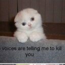 chloe wightman - @ginamutter75 - Twitter