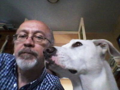 igorkasillis's profile picture. 