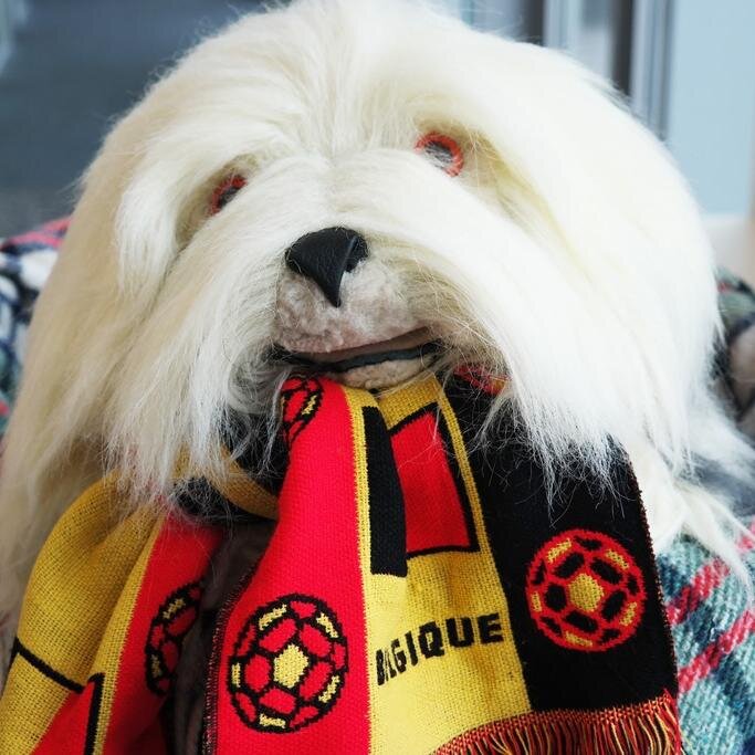 Samson en Gert supporteren mee voor de Belgen tijdens het WK! Dit is een officiële @Studio100 account!