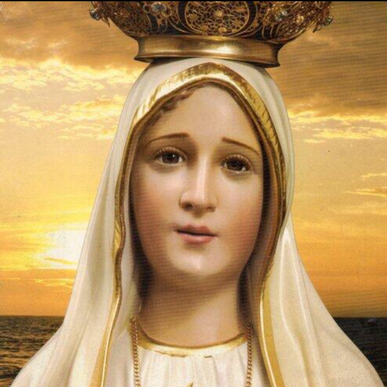 acagricola's profile picture. 