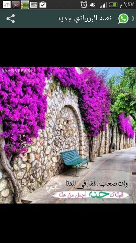 alnamani_na's profile picture. 