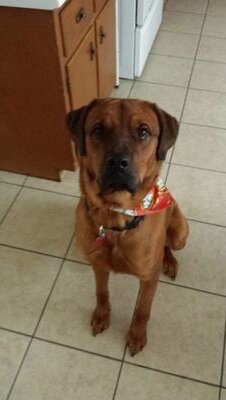 Ted_t_bow's profile picture. 