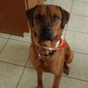 Ted Bruce - @Ted_t_bow - Twitter