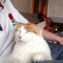 David Bowles - @BowlesDave - Twitter