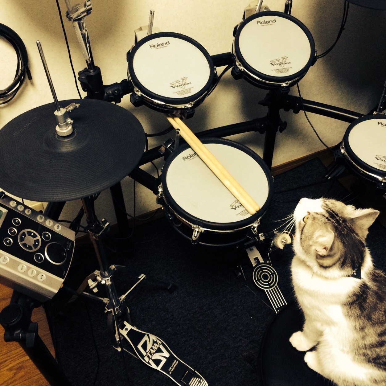 大和一中、浪人。I become a professional...I can become a professional precisely because I'm...I do not must become professional !!! on drums.