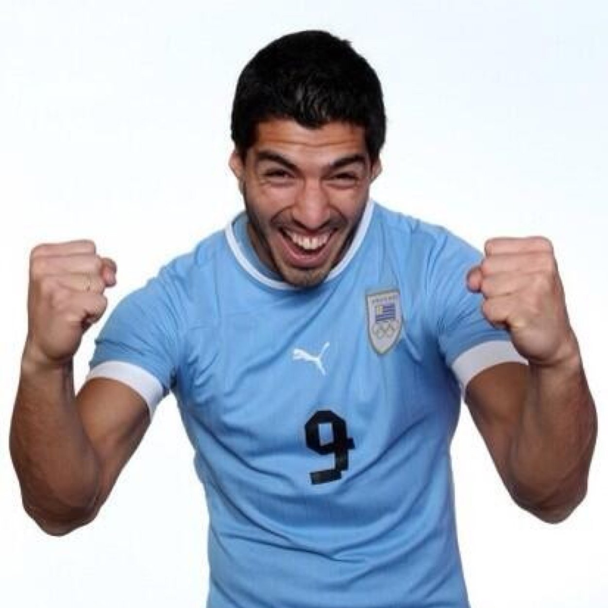 brightonblues1's profile picture. 