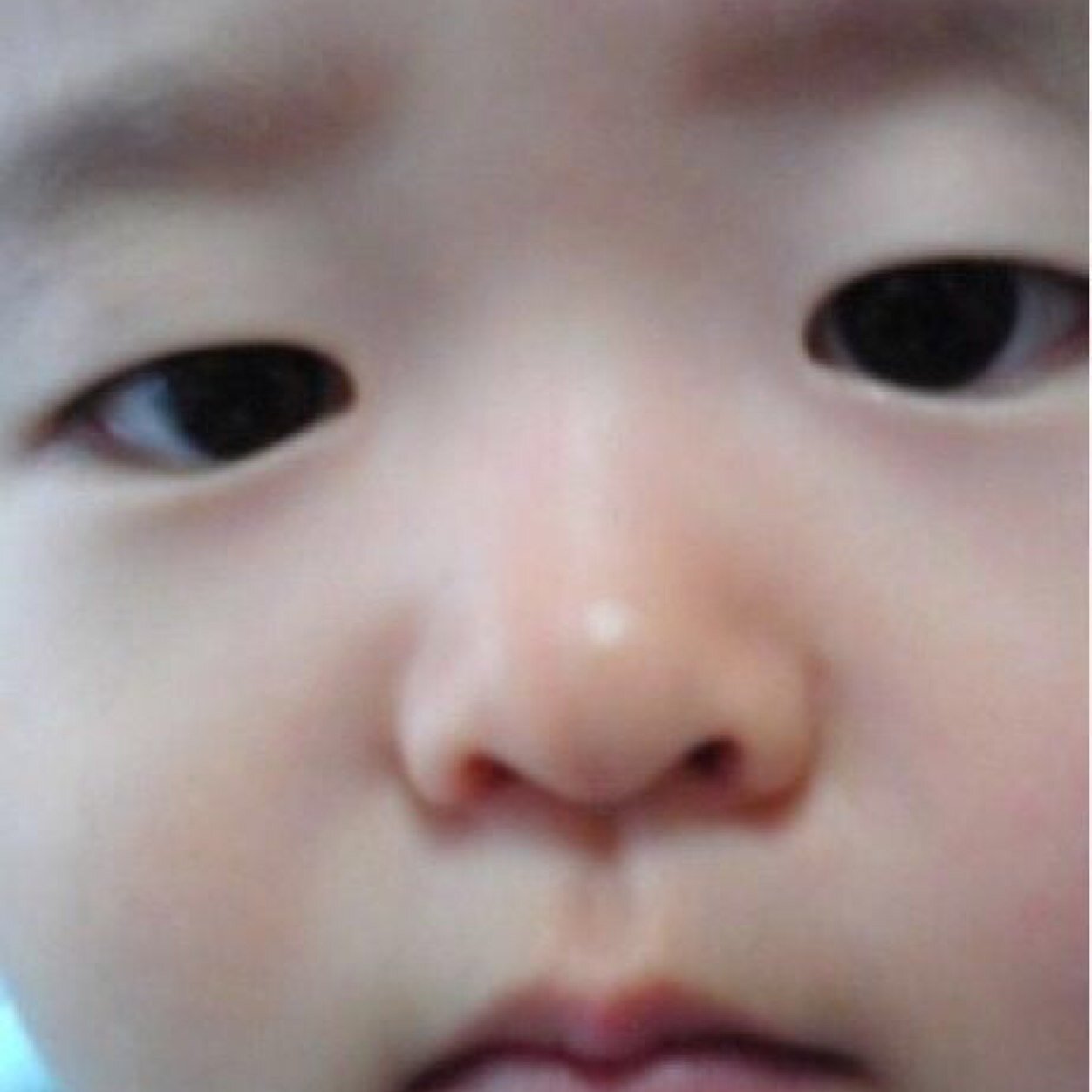 eooyasan's profile picture. お気軽に「フォロー」ください。 ※iPhoneとAndroidの話題や世界仰天面白ニュースなど楽しい話題をつぶやきます。