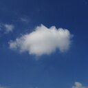 空をぼーっと眺めてます。