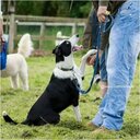 Garrett Lynch - @GarrettLynch85 - Twitter